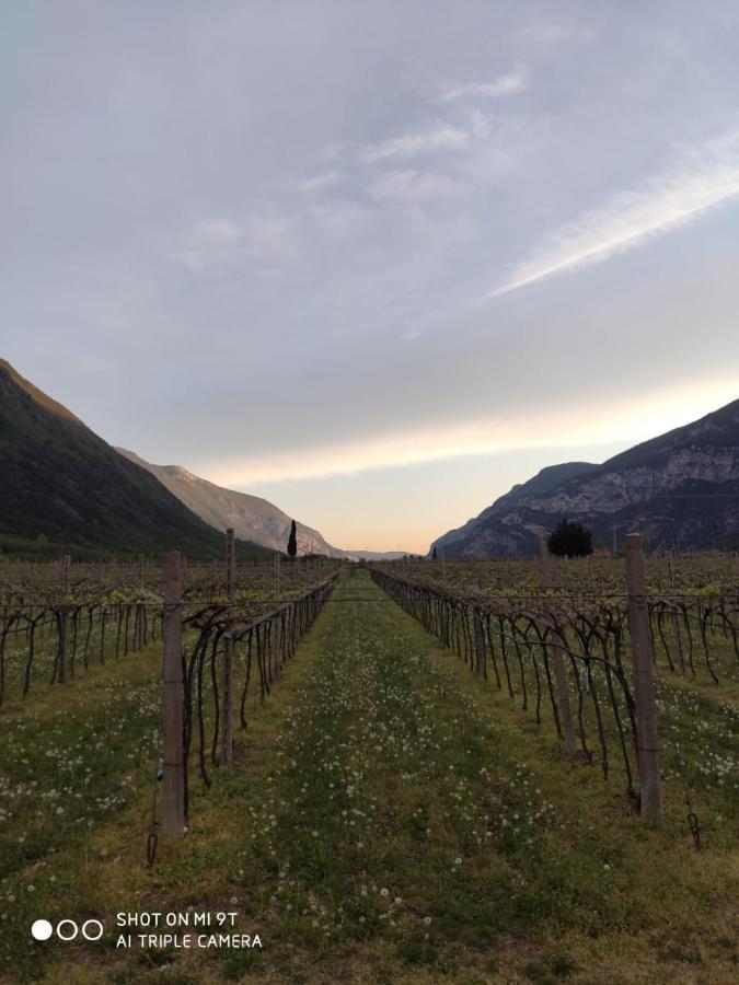 Agriturismo Revena Brentino Belluno Zewnętrze zdjęcie