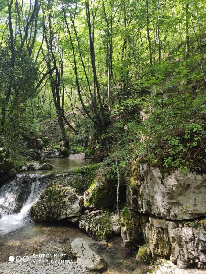 Agriturismo Revena Brentino Belluno Zewnętrze zdjęcie