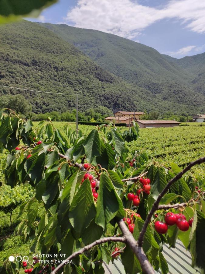 Agriturismo Revena Brentino Belluno Zewnętrze zdjęcie